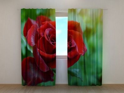 Fotogardine riesige Rose Vorhang bedruckt Fotodruck Gardine mit Motiv nach Maß