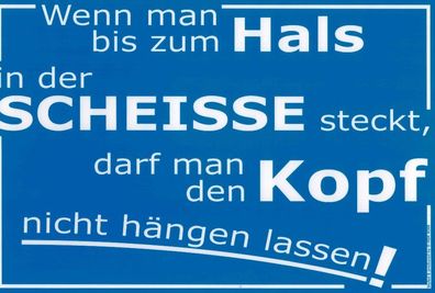 Schild - Wenn man bis zum Hals ... - Gr. 30x20 cm - 309099 - Spruch Motivation