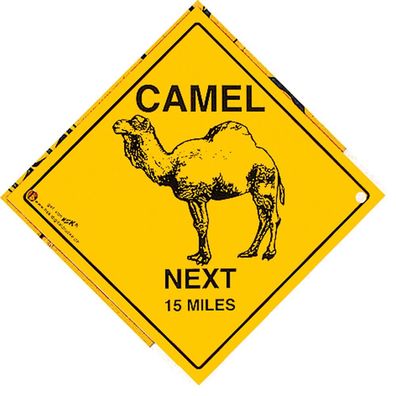 Schild mit Saugnäpfen - CAMEL next 15 miles - 309121 - Gr. ca. 20 x 20 cm