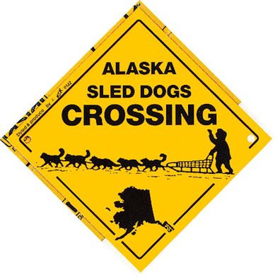 Schild mit Saugnäpfen - ALASKA - SLED DOGS Crossing - 309142 - Gr. ca. 20 x 20 cm