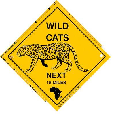 Schild mit Saugnäpfen - WILD CATS next 15 miles - 309133 - Gr. ca. 20 x 20 cm