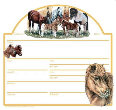 Stalltafel Boxenschild - Shettland Pony - ©Kollektion Bötzel - 38584 - Gr. ca. 30cm