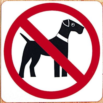 Verbotsschild - Hunde verboten - 20cm x 20cm - 308330