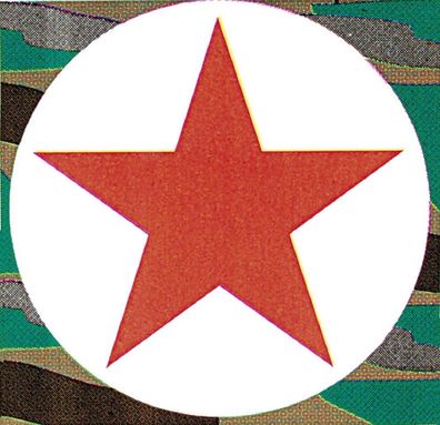 PVC-Aufkleber - Military Star - 307378 - Gr. ca. 7,5 x 7,5 cm