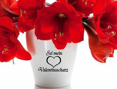 Blumentopf Aufkleber Vase Blumenstock Valentin Valentinstag und Liebe 132/9/3