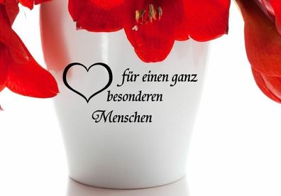 Blumentopf Aufkleber Vase Blumenstock Liebe Danke auch für Valentinstag 132/9/7