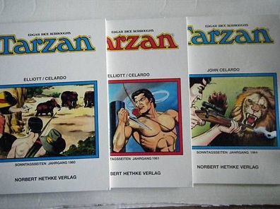 Auswahlbild-Tarzan-Buch-Hethke Sonntagsseiten Jg.1961