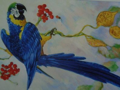 Le Suh 3D Bogen Tiere Vogel Vögel Sittiche Ara Papagei Kakadu Wellensittich