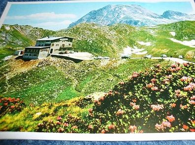 3239 / Ansichtskarte----Alto Adige Südtirol--Penserjoch--Alpenrosenhof