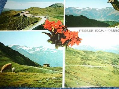 3240 / Ansichtskarte-----Penserjoch--Alpenrosenhof