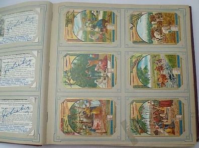 Liebigbilder Serie 389 "Ausländische Culturpflanzen" komplett 1898 (11/ D0224f)