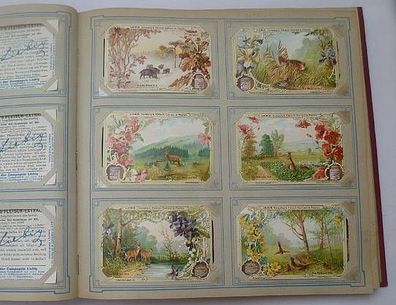 Liebigbilder Serie 452 "Aus Wald und Flur" komplett 1900 (18/ D3325z)