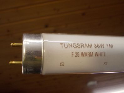 Starter + 98 99 100 cm Tube Neon TungsRam 36w 1m F 29 Warm White 36w1m F29 Lampe L T8
