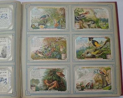 Liebigbilder Serie 481 "Aus der Vogelwelt II (mit Reimen) komplett 1901 (18/ D3325ii)