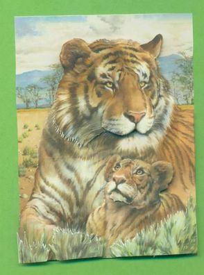 3D Karte Tiger mit Junges