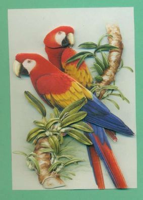 3D Karte 2 rote Papageien