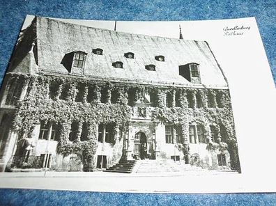 3989 / Ansichtskarte- Quedlinburg Rathaus