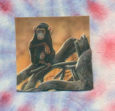 3D Karte Schimpanse / Affen