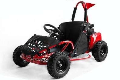 80cc Buggy GoKid Automatik Offroad quad bike gokart