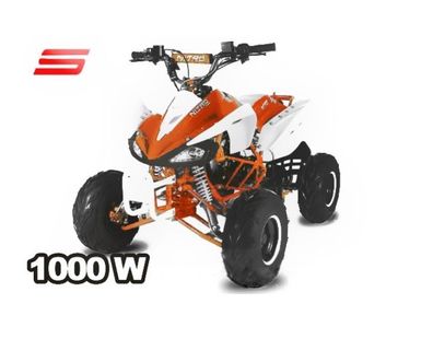 1000W ECO SPEEDY S8 QUAD 48V | 20A | 8" Quad ATV Cross