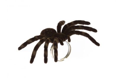 Spinnenring große Vogelspinne Ring Miniblings Halloween Tarantel Fingerring