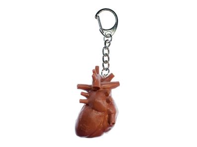Herz Schlüsselanhänger Miniblings Anhänger Schlüsselring Organ Mensch Anatomie