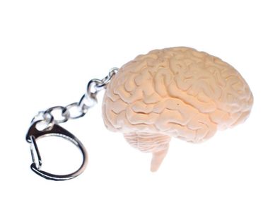 Gehirn Schlüsselanhänger Miniblings Anhänger Schlüsselring Organ Mensch Anatomie