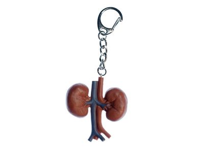 Niere Schlüsselanhänger Miniblings Anhänger Schlüsselring Organ Mensch Anatomie