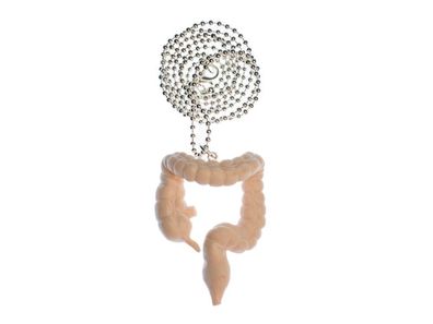 Dickdarm Kette Halskette Miniblings 80cm Medizin Anatomie Mensch Zombie Darm 3D