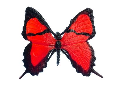 Schmetterling Brosche Miniblings Rot Frühling Falter Fliegen Insekt Tier Gummi