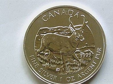 Original 5$ Dollars 2013 1 Unze 31,1g Silber Kanada Antilope