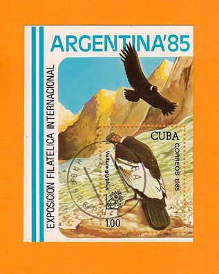 Motivblock - Vogel Cuba - Andenkondor (Vulture Gryphus) o