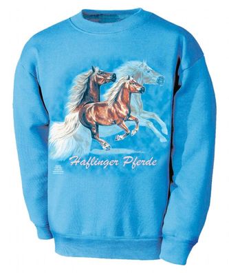 Kinder Sweatshirt mit Pferdemotiv - Haflinger Asterix - 08668 blau - ©Kollektion Bö
