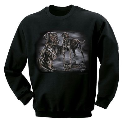 Kinder Sweatshirt mit Print - Labrador - 08674 schwarz - Gr. 134/146 - ©Kollektion C