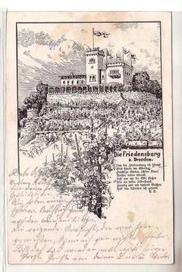 57970 Ak Die Friedensburg bei Dresden 1899