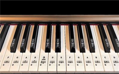Klavier-, Keyboard-, Piano Aufkleber, C-D-E-F-G-A-H für 49 | 61 | 76 | 88 Taste