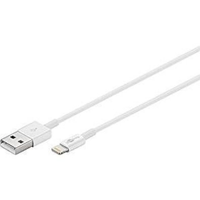 Lightning USB Sync-Ladekabel Apple