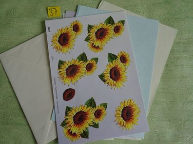 SET TBZ 3D Bogen Din A5 Karte + Kuvert Blumen Blüten Sonnenblumen