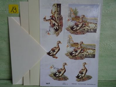 SET TBZ 3D Bogen Din A5 Karte + Kuvert Tiere Gans Gänse Enten Schwan Schwäne