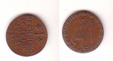 1 Pfennig Kupfer Münze Braunschweig Wolfenbüttel 1820 M.C.
