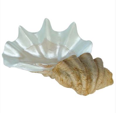 Muschel Deko Riesenmuscheln Herzmuscheln Dekoration Figur Statue Skulptur Maritim