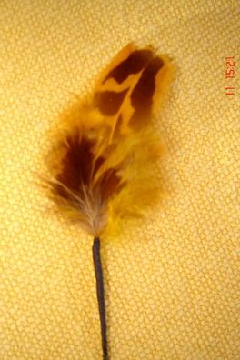 kleine Hutfeder Hutschmuck gelb braun Feder ca 4,5cm für Herrenhut Art 24-24