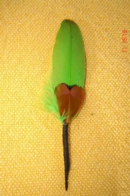 kleine Hutfeder Hutschmuck hellgrüne Feder ca 5cm für Herrenhut Art 24-17