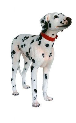 Dalmatiner Hund Aufstellfigur Statue Figur Fan Geschänkidee Halsband lebensgroß Deko