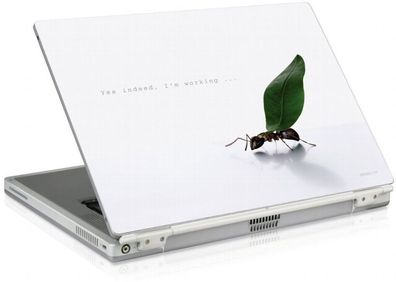 SL Notebook Skin 11,6" Aufkleber für Acer Aspire One Toshiba Medion Akoya Mini