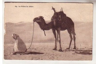 57501 Ak eines deutschen Fremdenlegionärs aus Marokko Kamelführer 1927