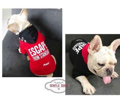 Hundepullover, TOP Qualität, für Französische Bulldogge in Rot & Schwarz * gratis Vs*