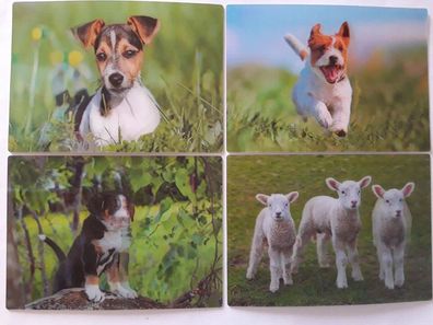 3 D Ansichtskarte Hunde Welpe Schafe Postkarte Wackelkarte Hologrammkarte Tier