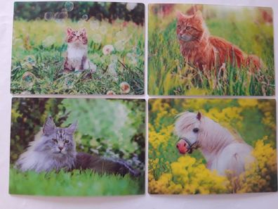 3 D Ansichtskarte Katzen Pferd Postkarte Wackelkarte Hologrammkarte Tier