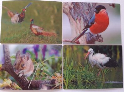 3 D Ansichtskarte Vogel Maus Postkarte Wackelkarte Hologrammkarte Tier Vögel